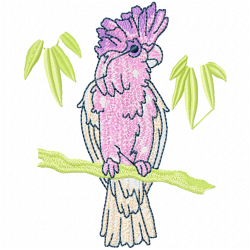 Parrots Embroidery Design 2